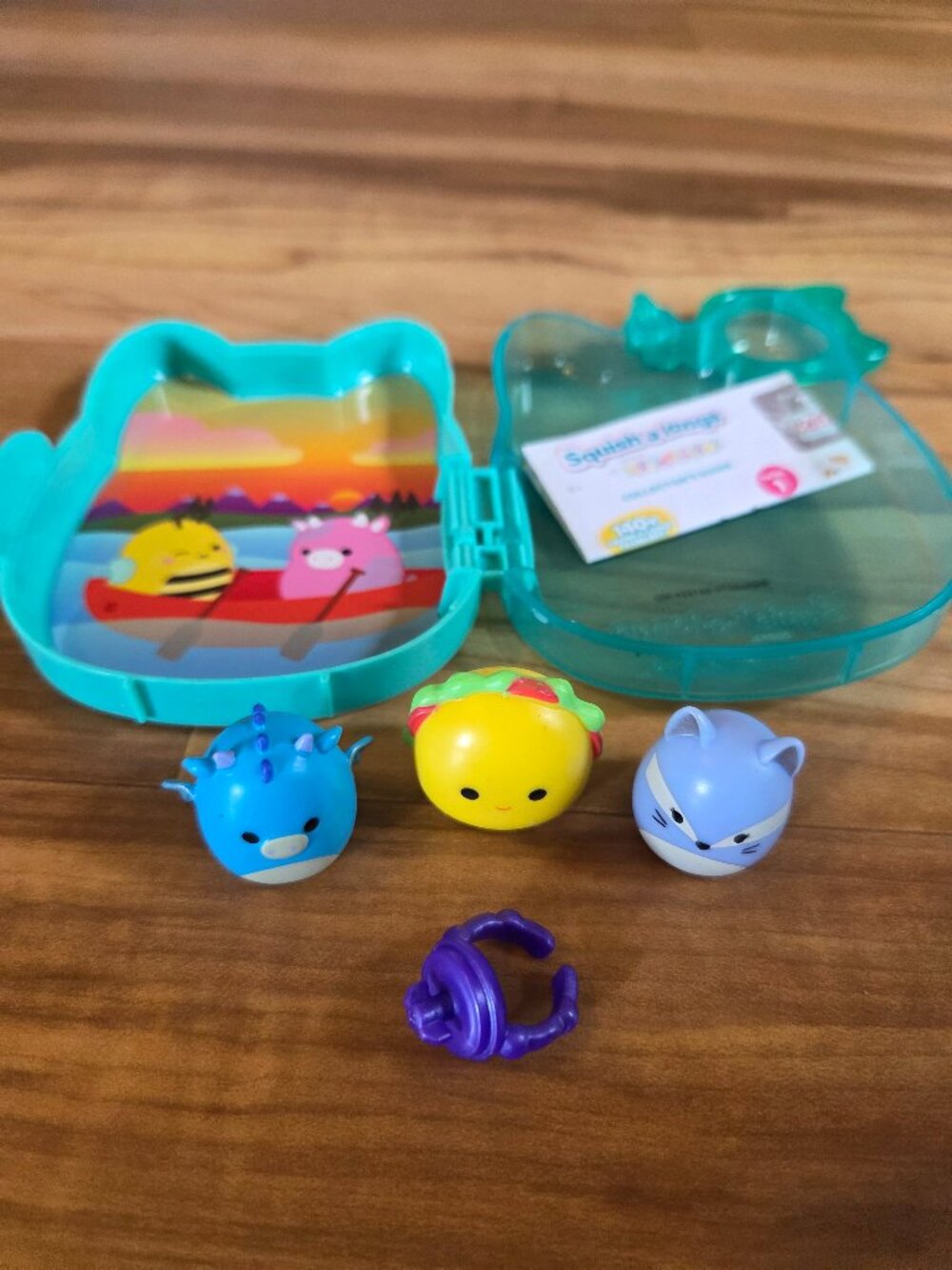 Squish-a-longs by Squishmallows 3 Pack with Cat Case